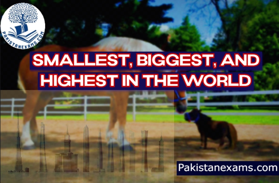 Smallest, Biggest, and Highest In the World Pakistanexams.com