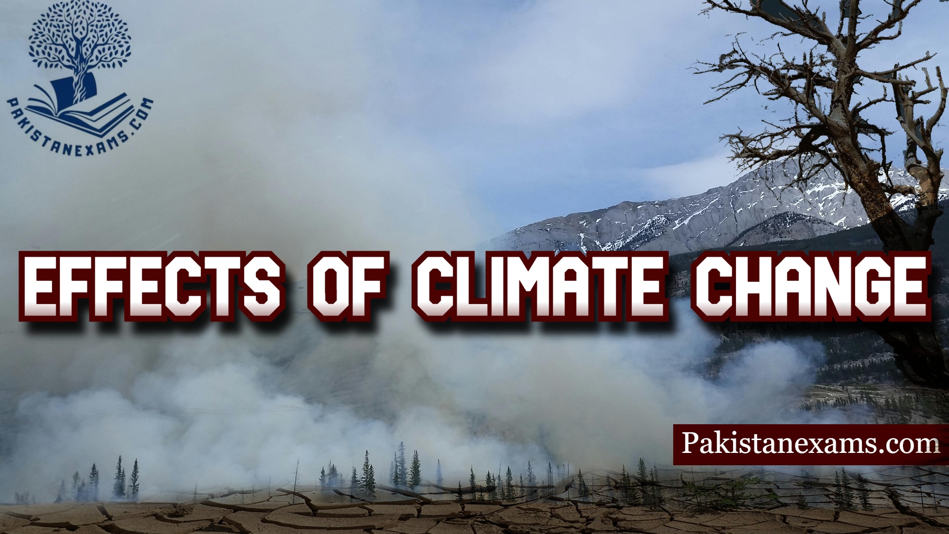 www.Pakistanexams.com Effects of Climate Change