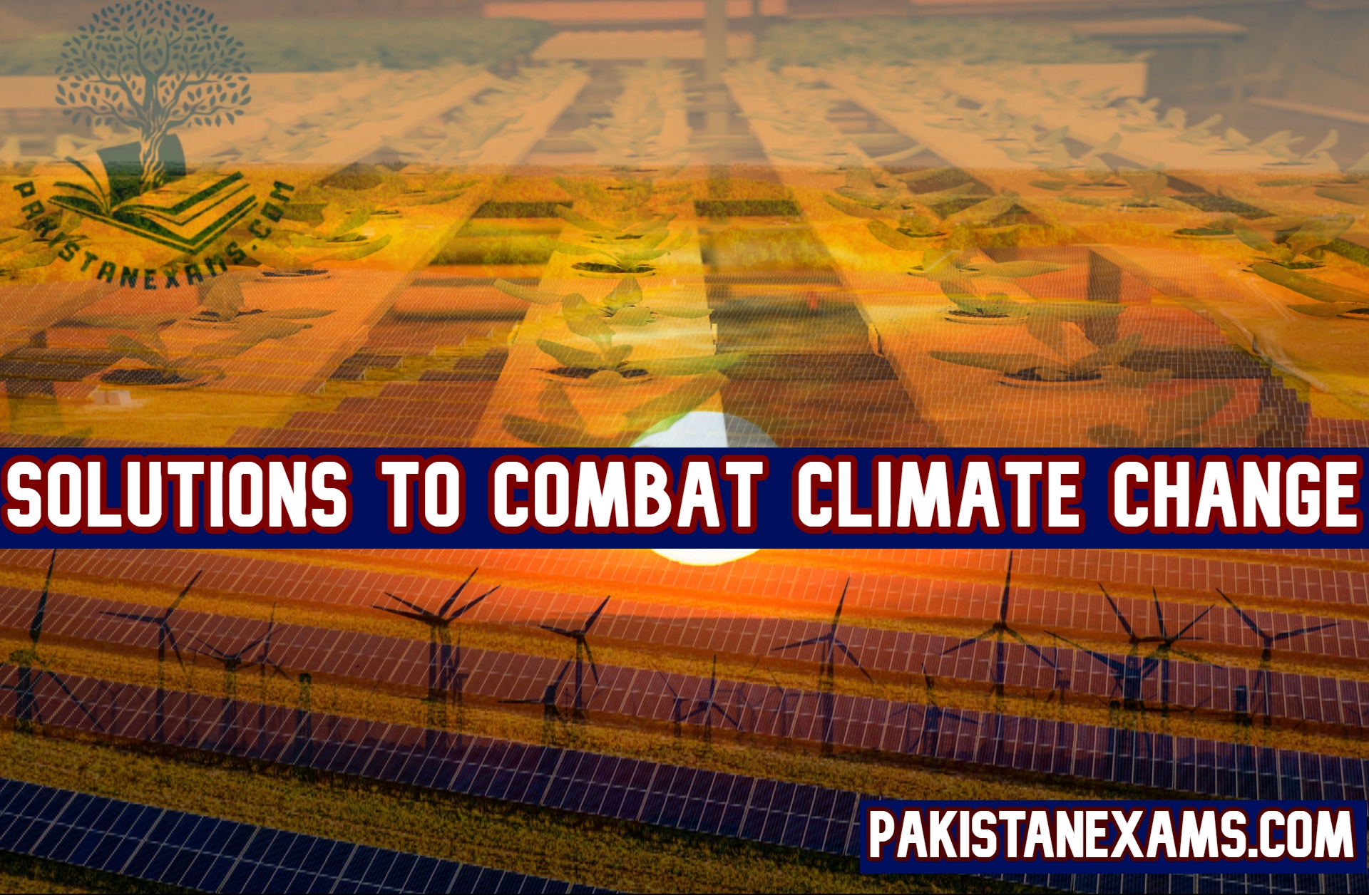 www.Pakistanexams.com Solutions to Combat Climate Change