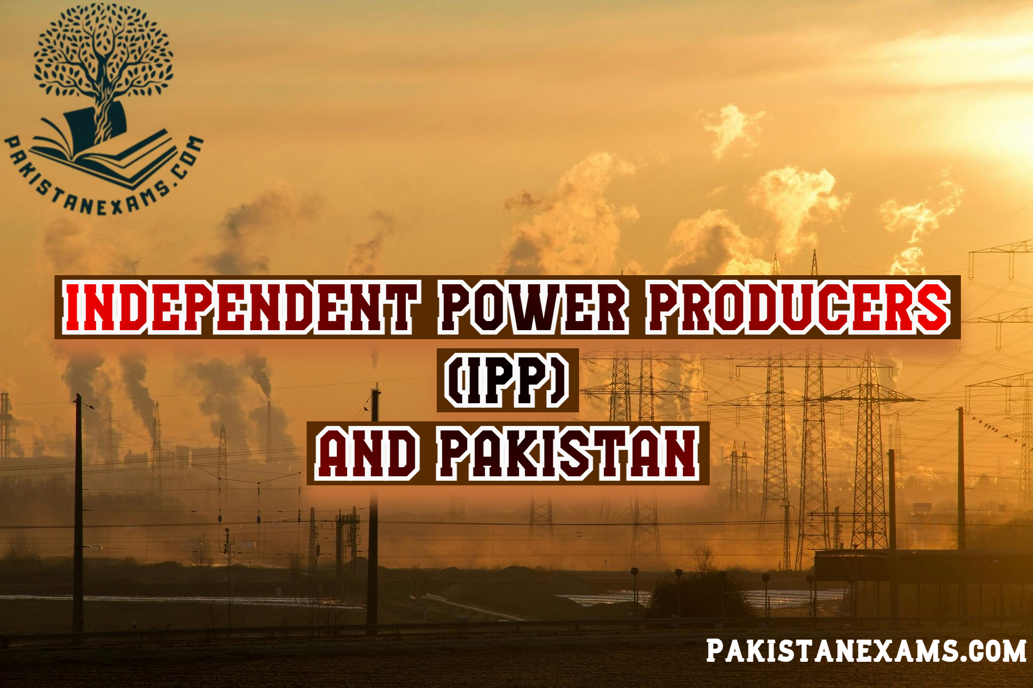 Pakistanexams.com Independent Power Producers (IPPs) and Pakistan: Energy Crisis